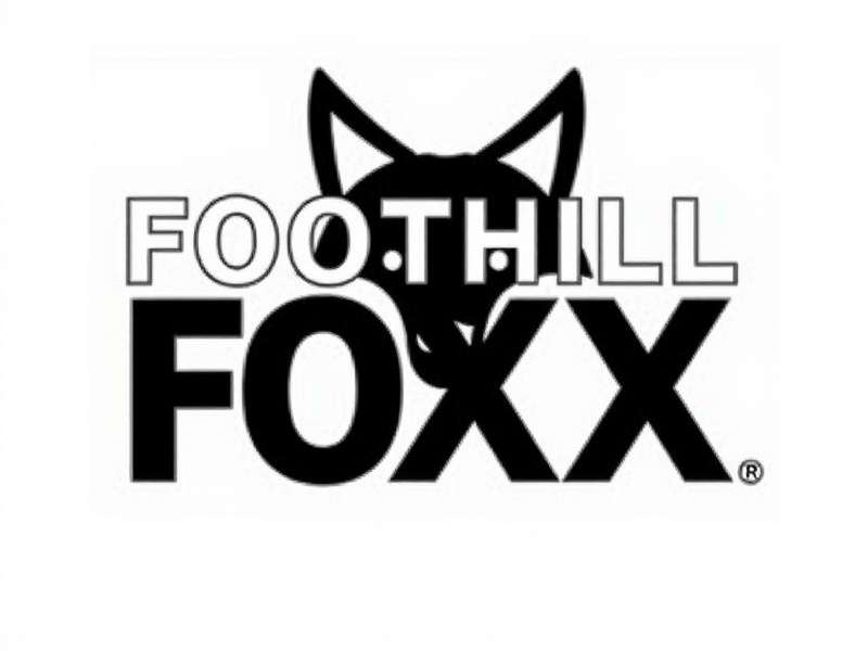 E‑commerce Social Media Campaign